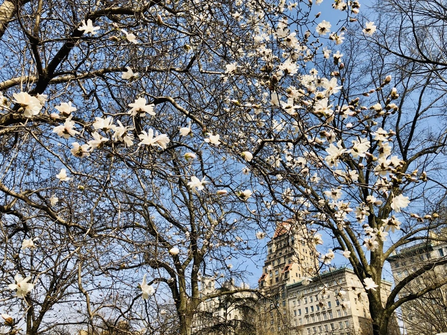 IMG_6494.jpg?type=w966