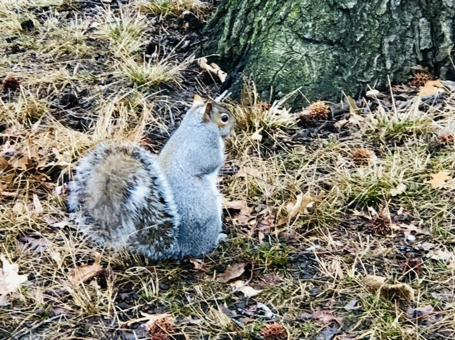 IMG_9555.jpg?type=w966