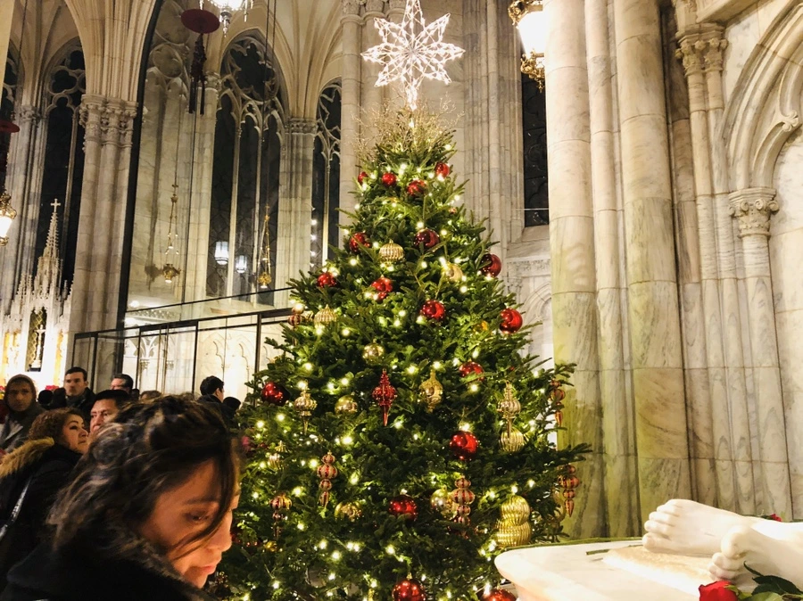 IMG_2908.jpg?type=w966