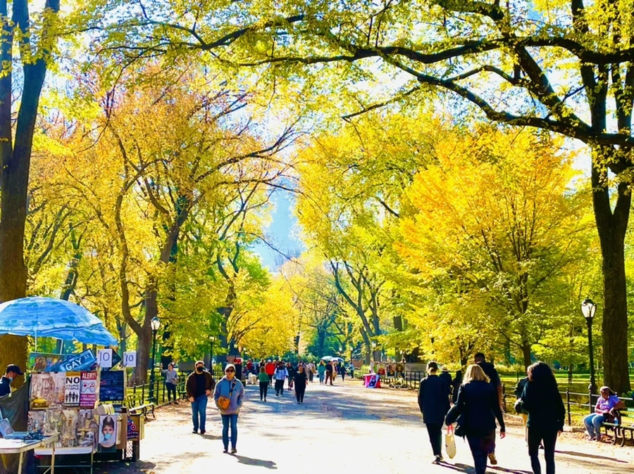 IMG_1562.jpg?type=w966