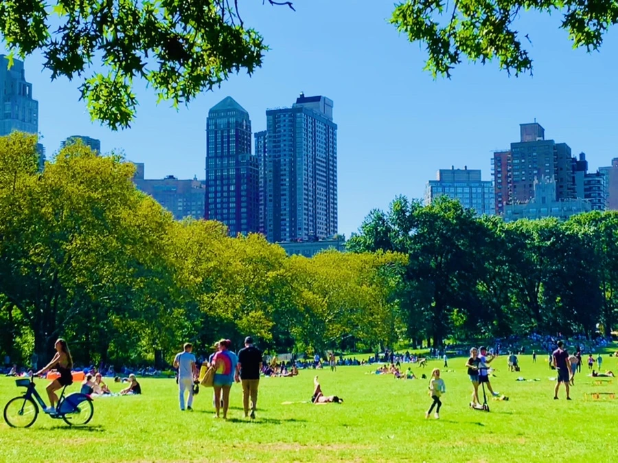 IMG_7618.jpg?type=w966