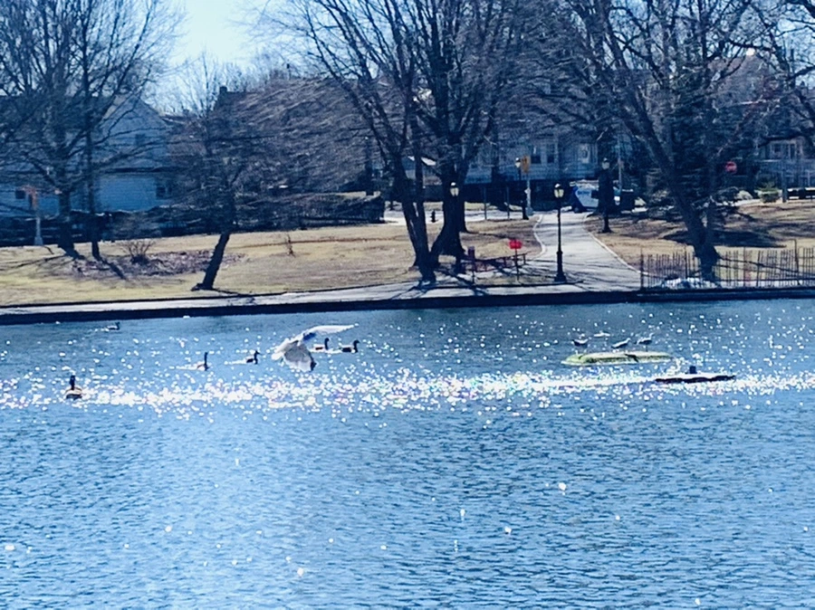 IMG_7644.jpg?type=w966