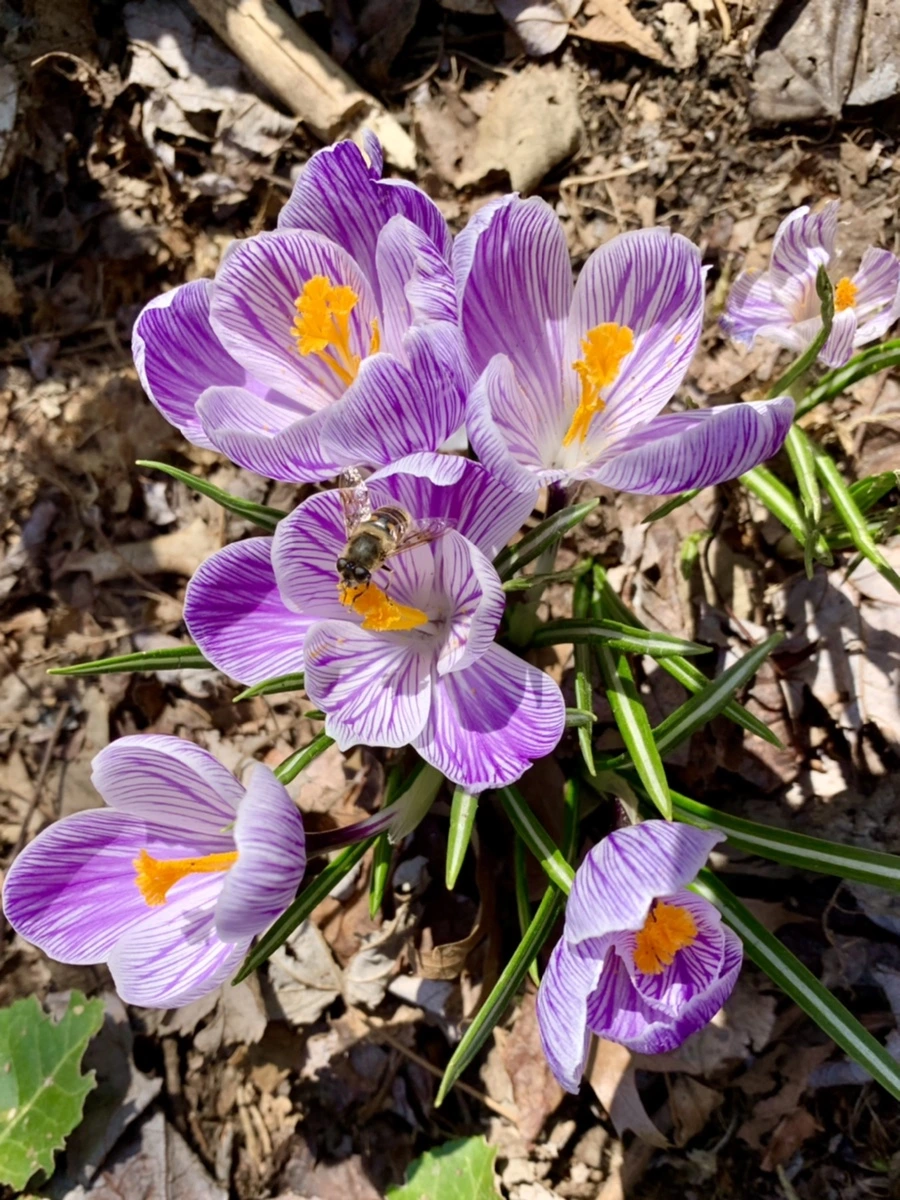 IMG_2890.jpg?type=w966