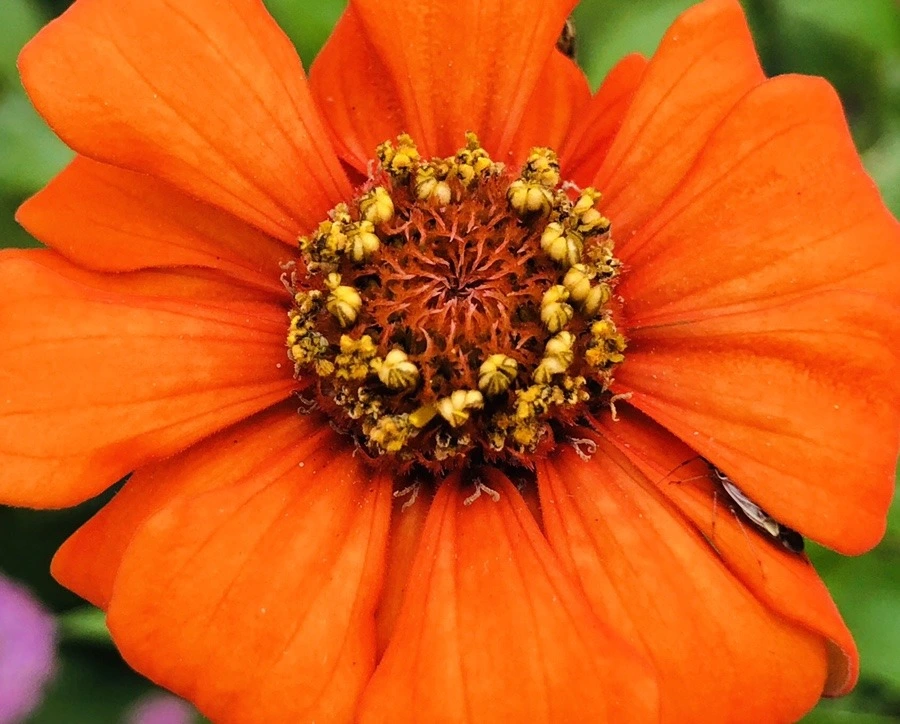 hmSFLvuG9g2CcNt05h4Nai_AtjE