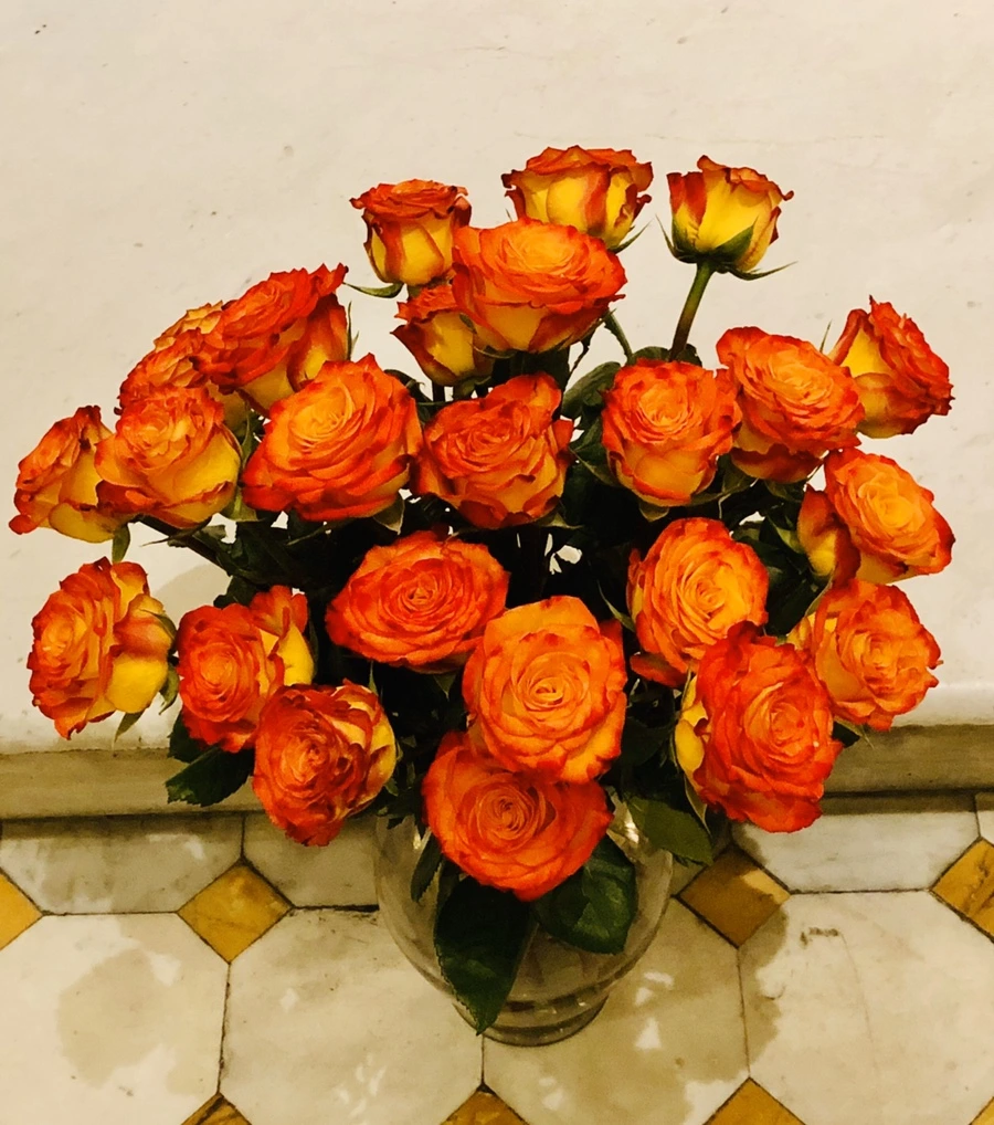 IMG_5045.jpg?type=w966