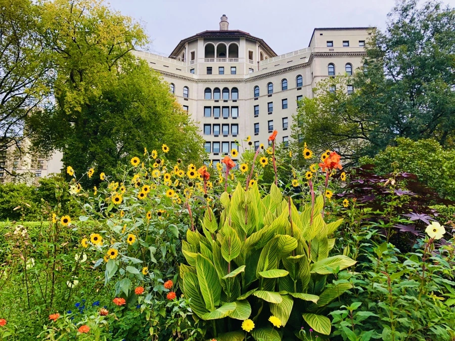 IMG_1803.jpg?type=w966