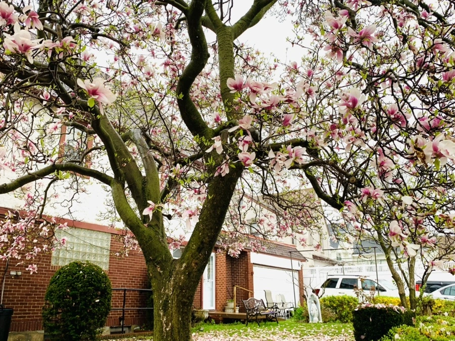 IMG_2228.jpg?type=w966