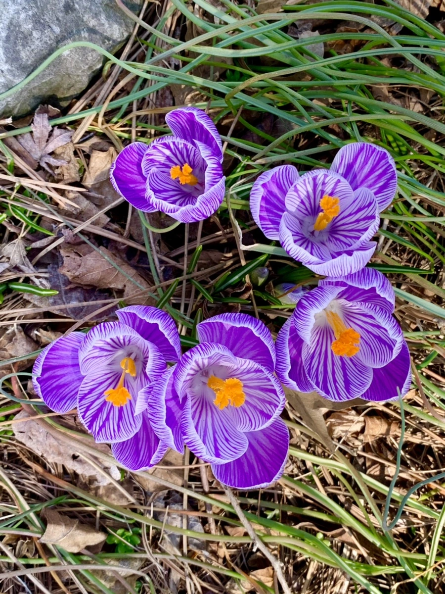 IMG_2967.jpg?type=w966