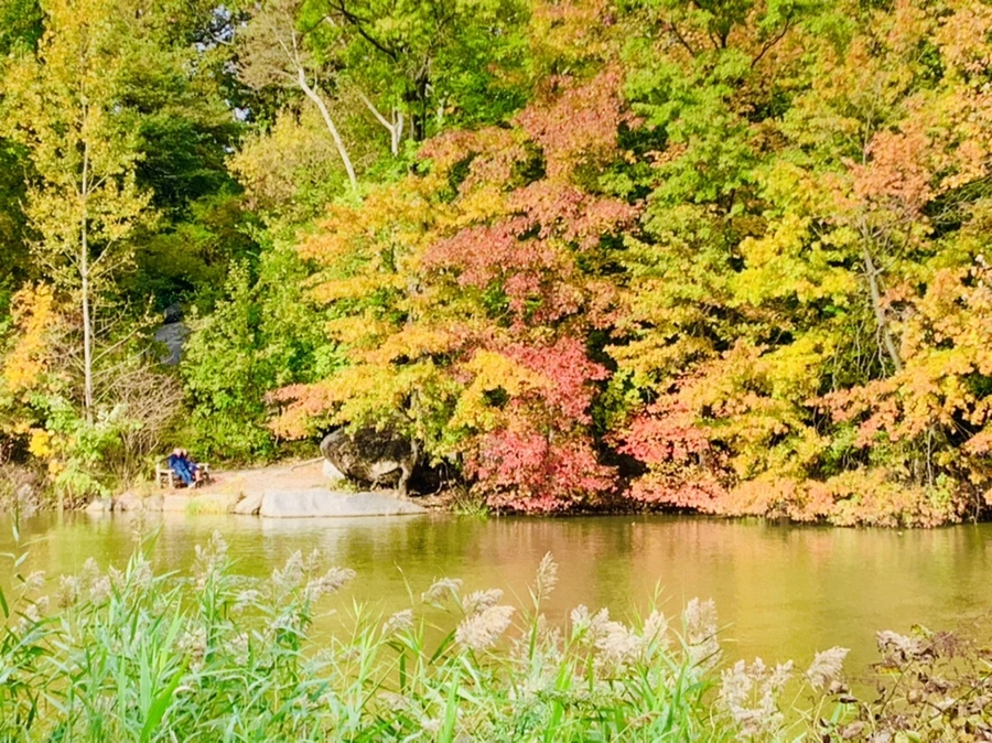 IMG_0156.jpg?type=w966