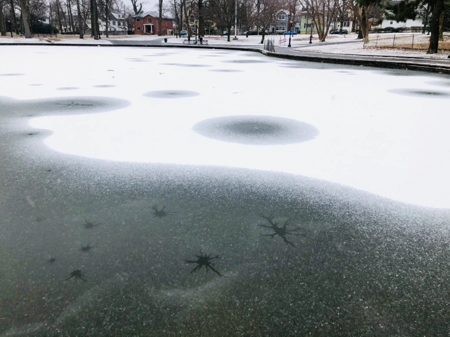 IMG_6106.jpg?type=w966