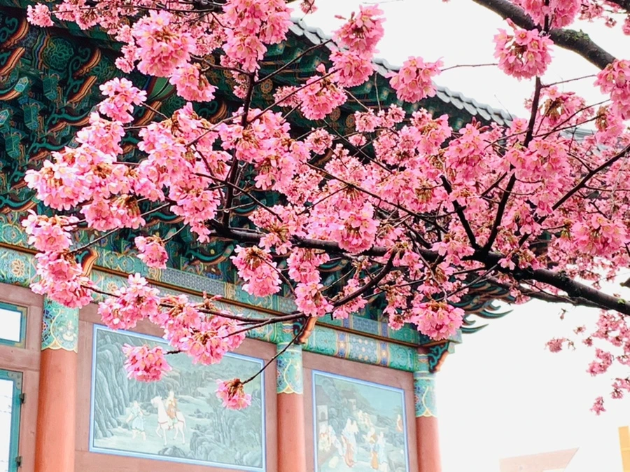 IMG_5285.jpg?type=w966