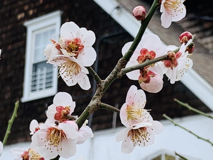 IMG_3589.jpg?type=w966