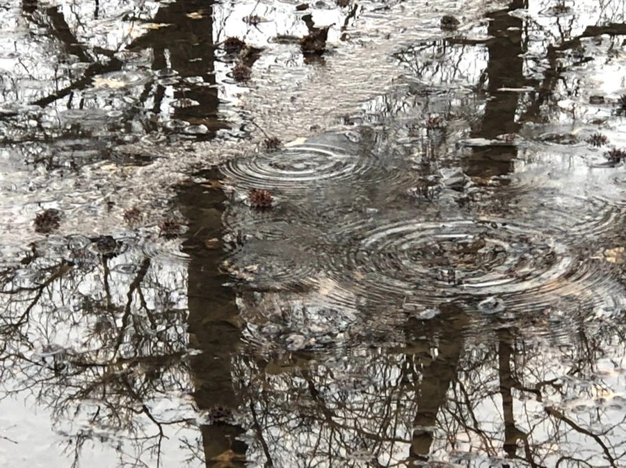 IMG_5652.jpg?type=w966