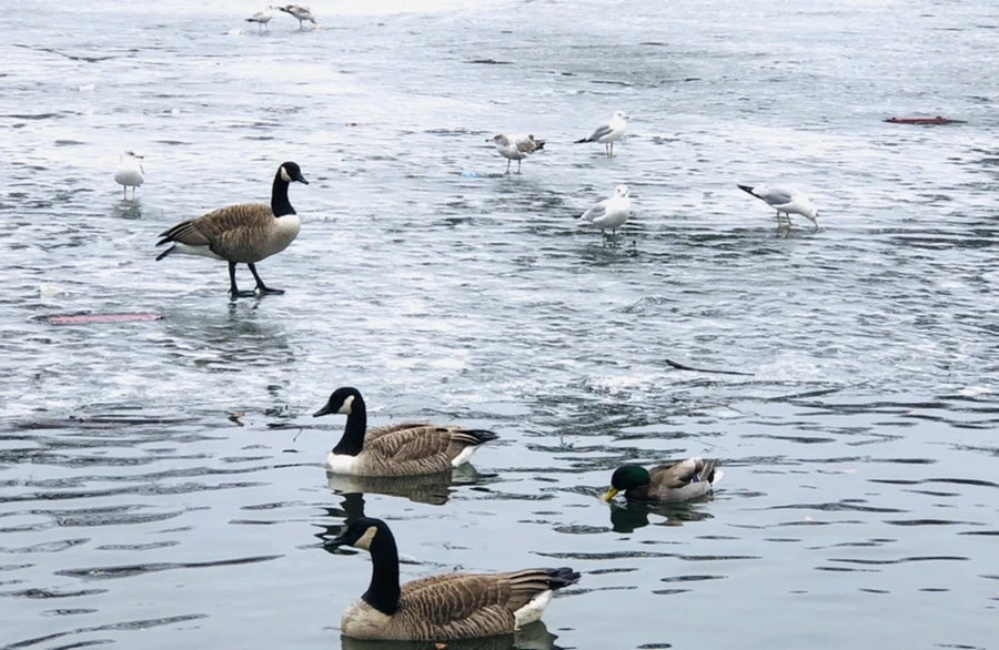 IMG_6141.jpg?type=w966