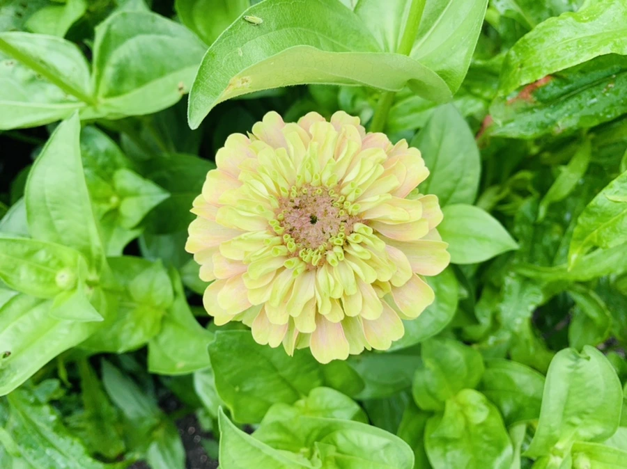 IMG_9549.jpg?type=w966