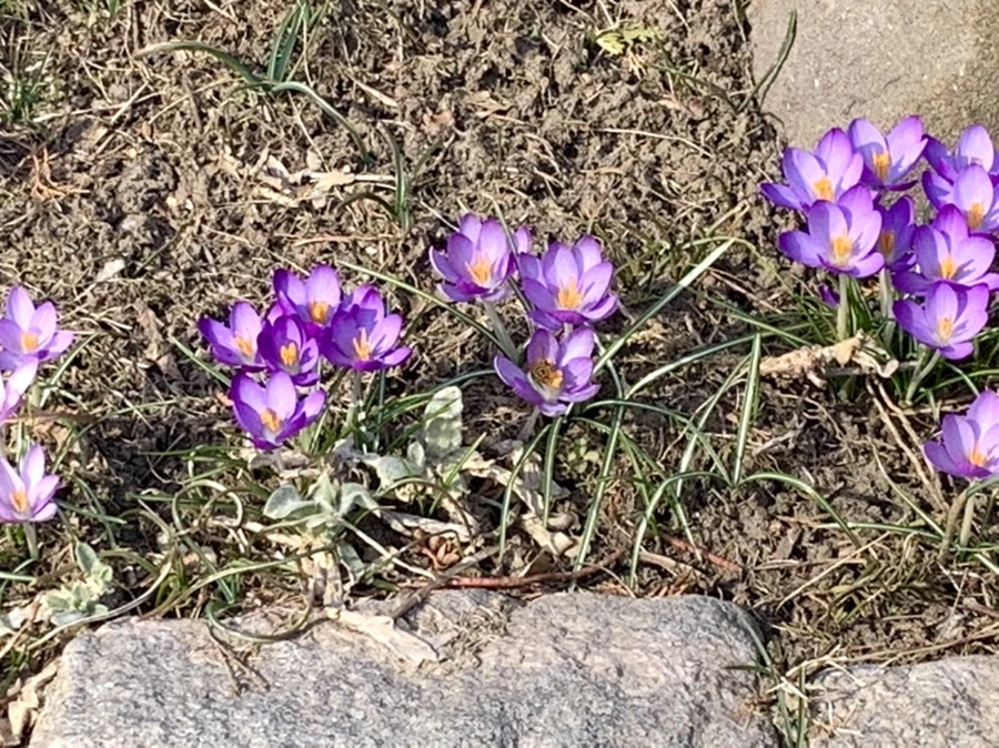 IMG_0202.jpg?type=w966