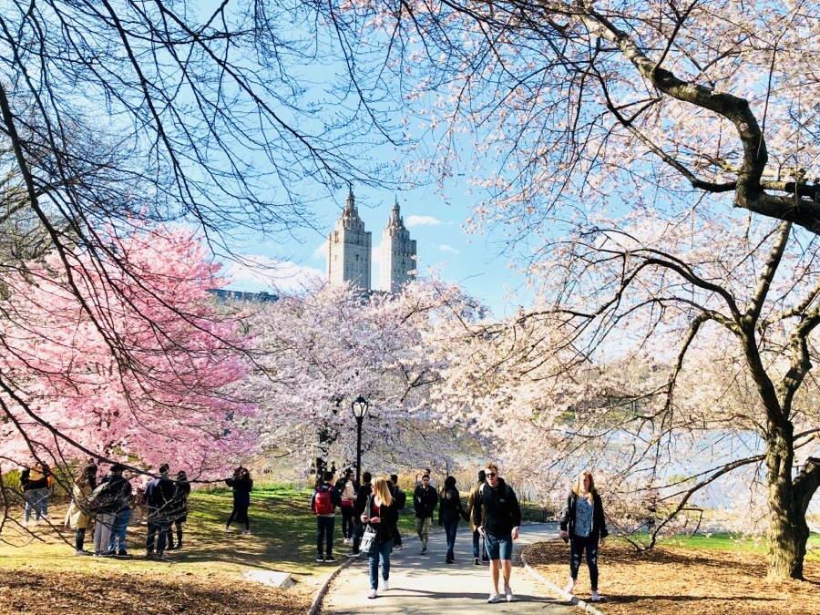 IMG_4503.jpg?type=w966