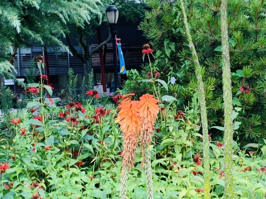 IMG_0991.jpg?type=w966