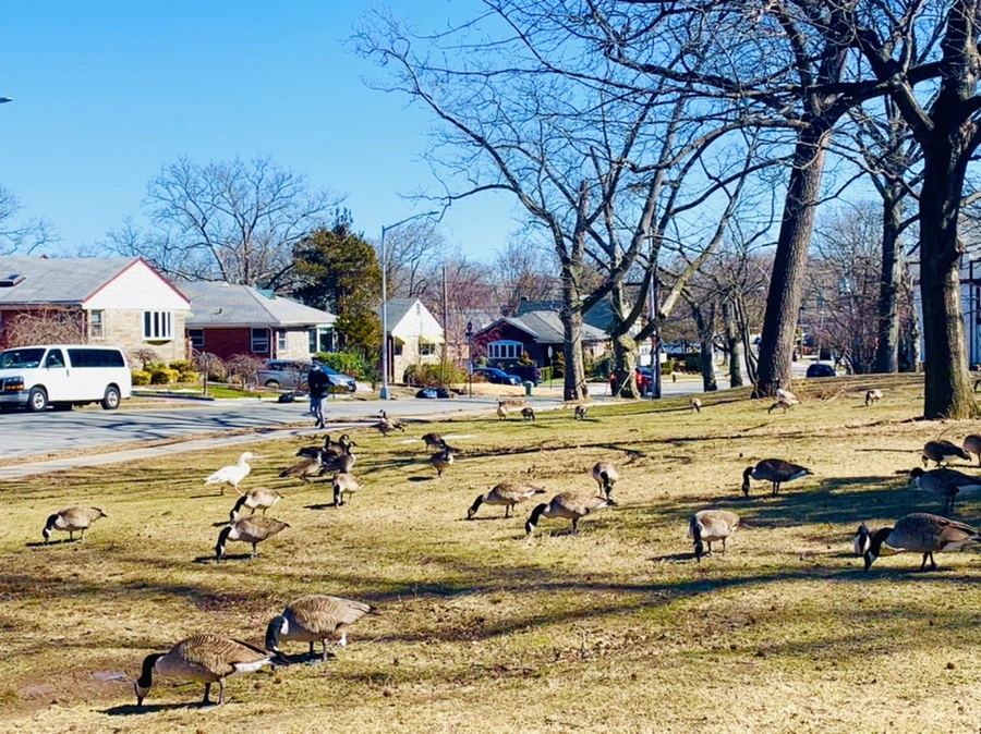 IMG_6627.jpg?type=w966