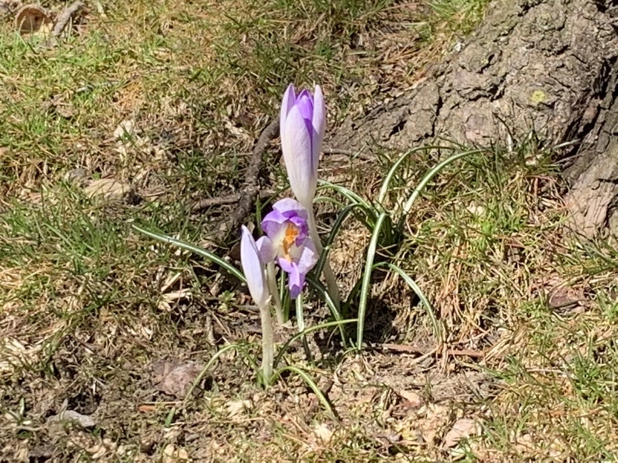 IMG_8198.jpg?type=w966