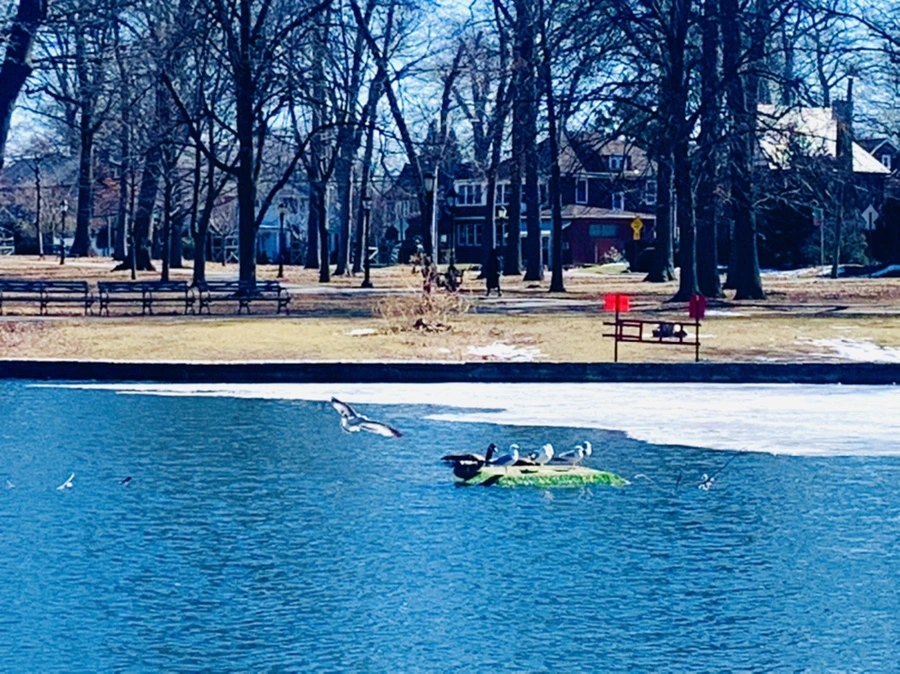 IMG_6856.jpg?type=w966