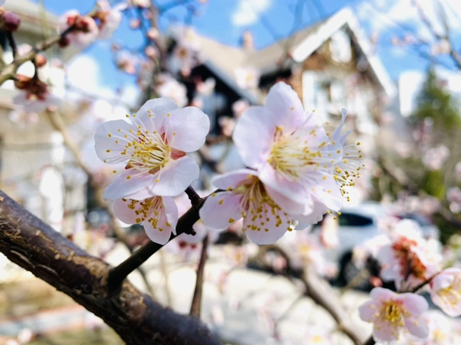 IMG_0967.jpg?type=w966