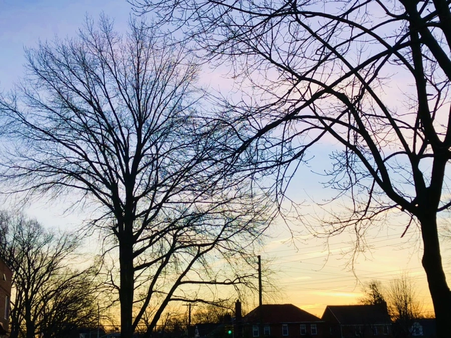 IMG_5626.jpg?type=w966