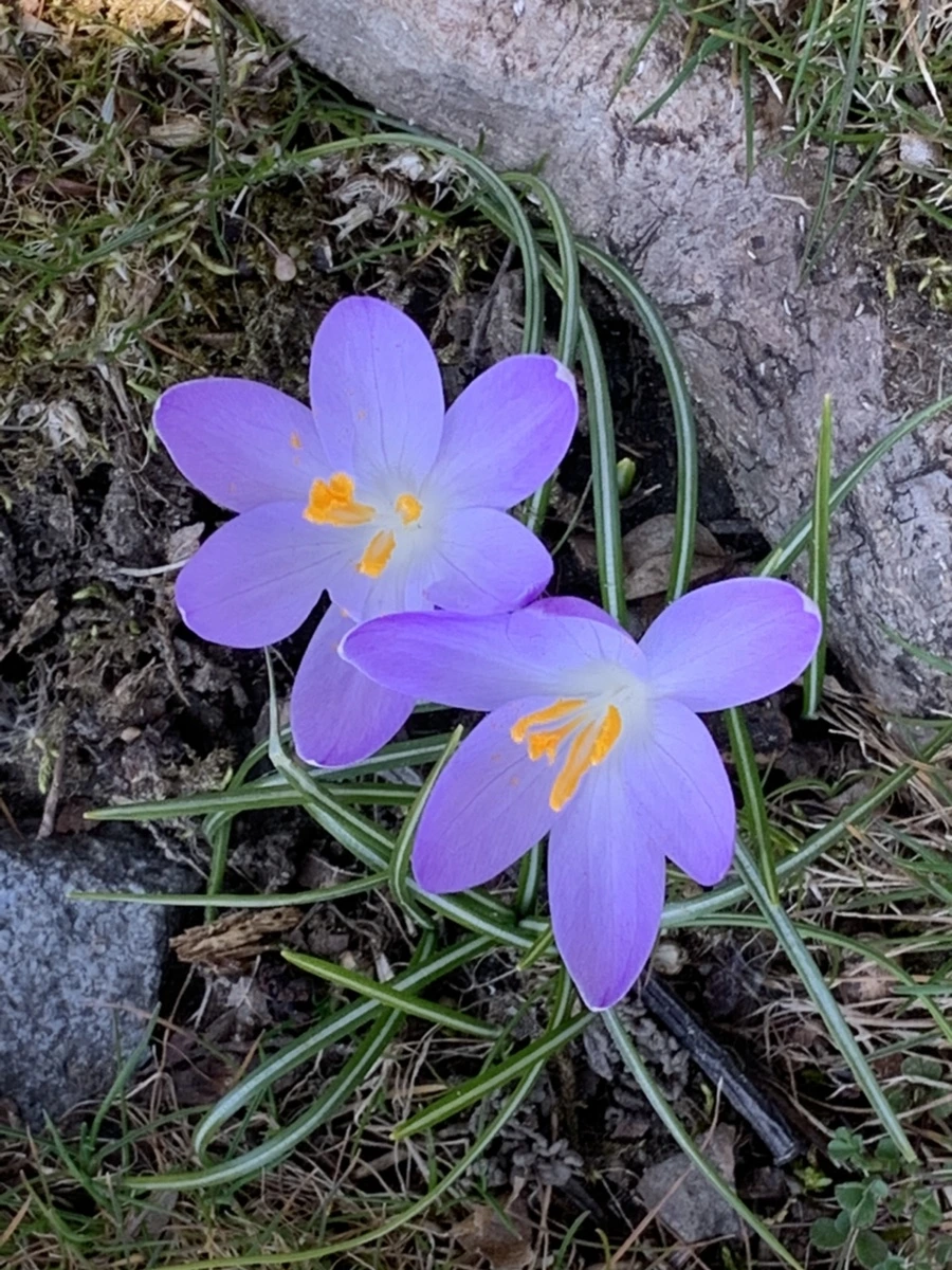 IMG_9215.jpg?type=w966