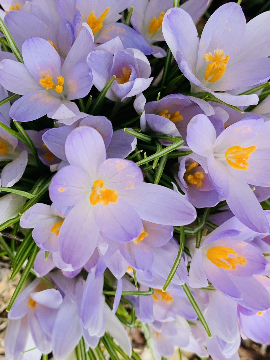 IMG_0551.jpg?type=w966