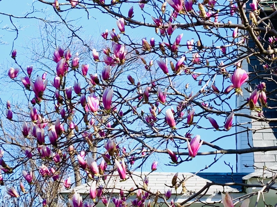 IMG_7515.jpg?type=w966