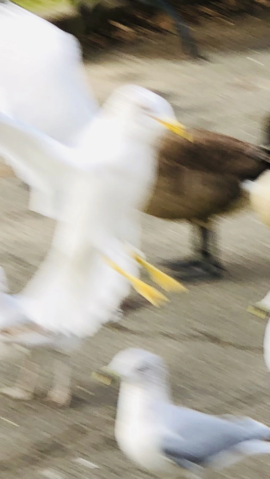 IMG_9955.jpg?type=w966