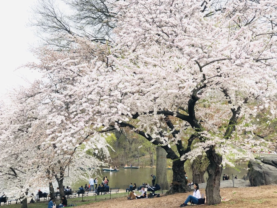 IMG_2952.jpg?type=w966