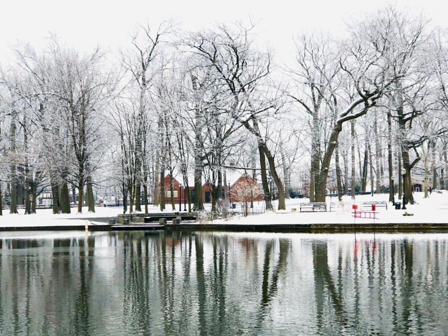 IMG_4477.jpg?type=w966