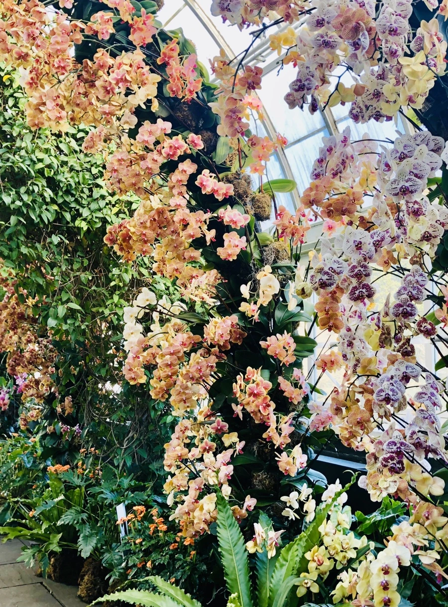 IMG_6279.jpg?type=w966