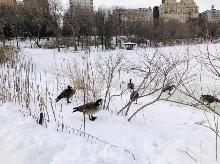 IMG_9492.jpg?type=w966