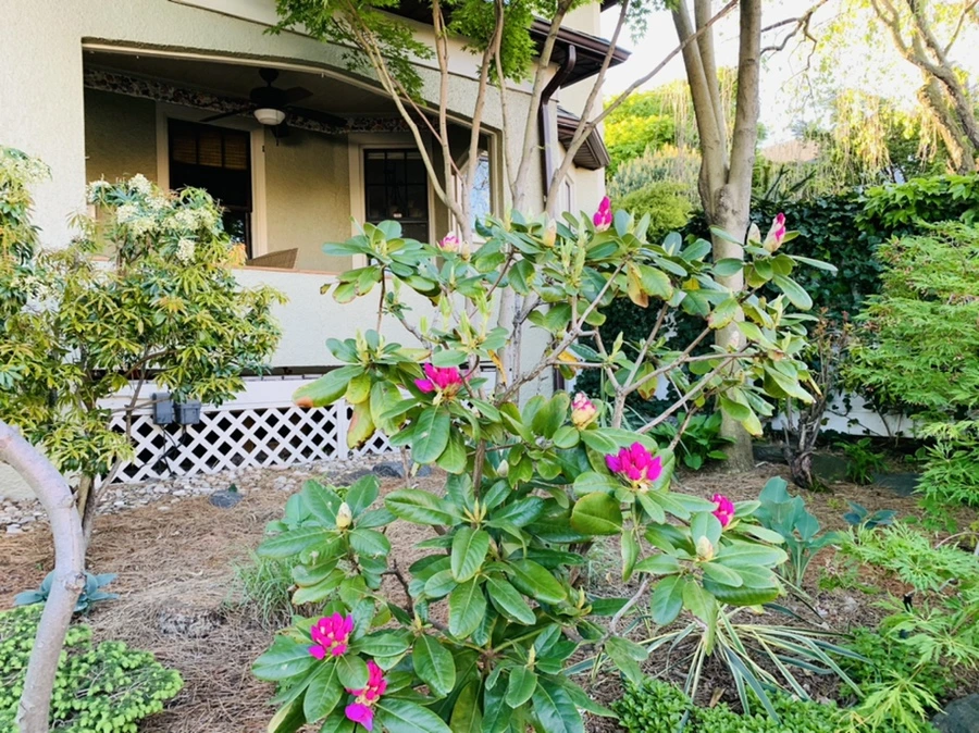 IMG_0555.jpg?type=w966