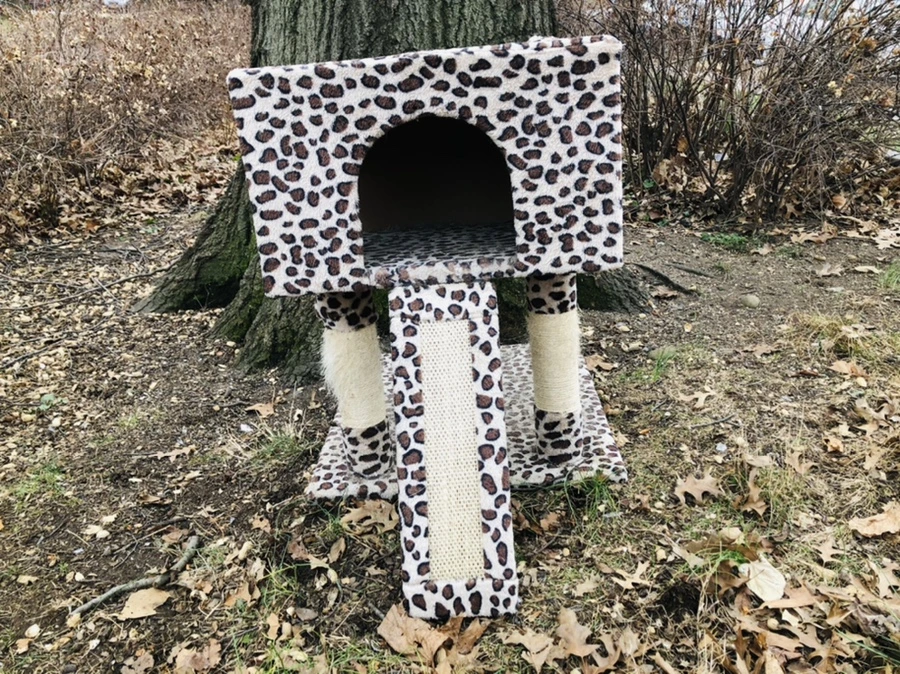 IMG_0072.jpg?type=w966