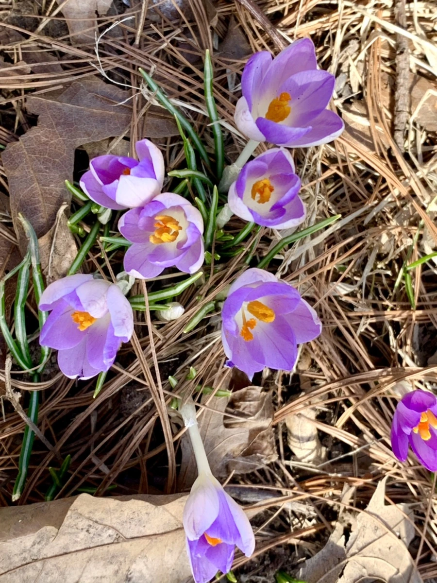 IMG_9635.jpg?type=w966