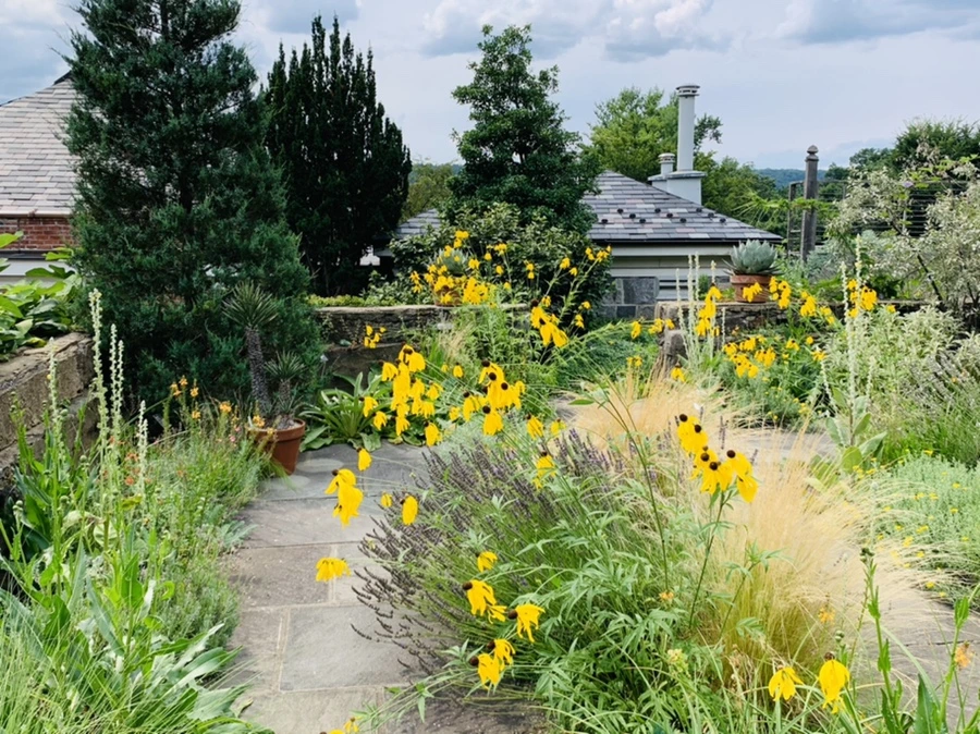 IMG_9467.jpg?type=w966