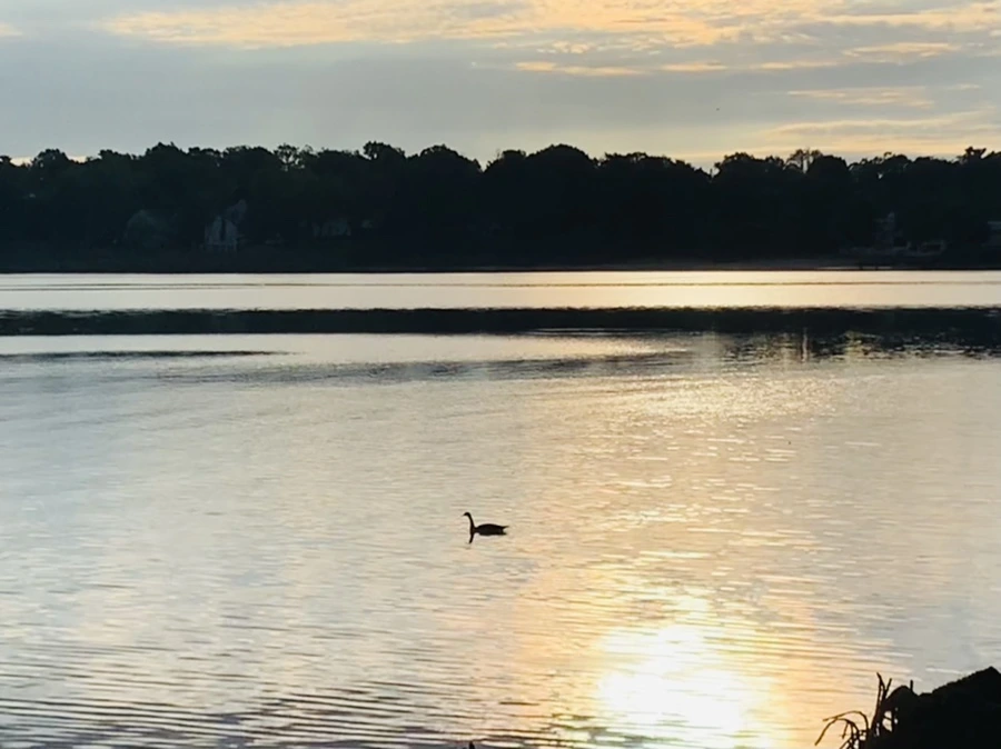 IMG_7735.jpg?type=w966