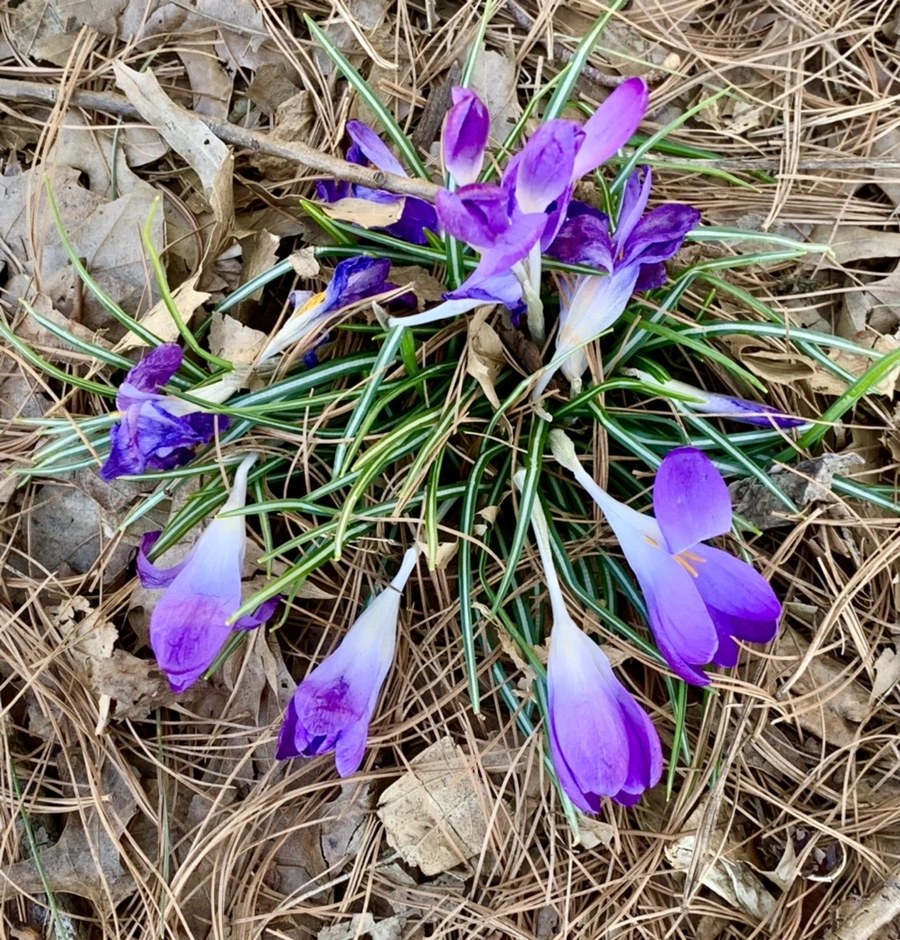 IMG_1427.jpg?type=w966