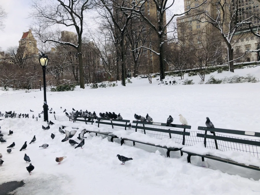 IMG_9127.jpg?type=w966