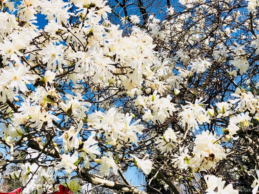 IMG_4438.jpg?type=w966