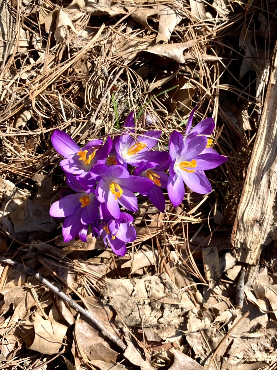 IMG_9672.jpg?type=w966