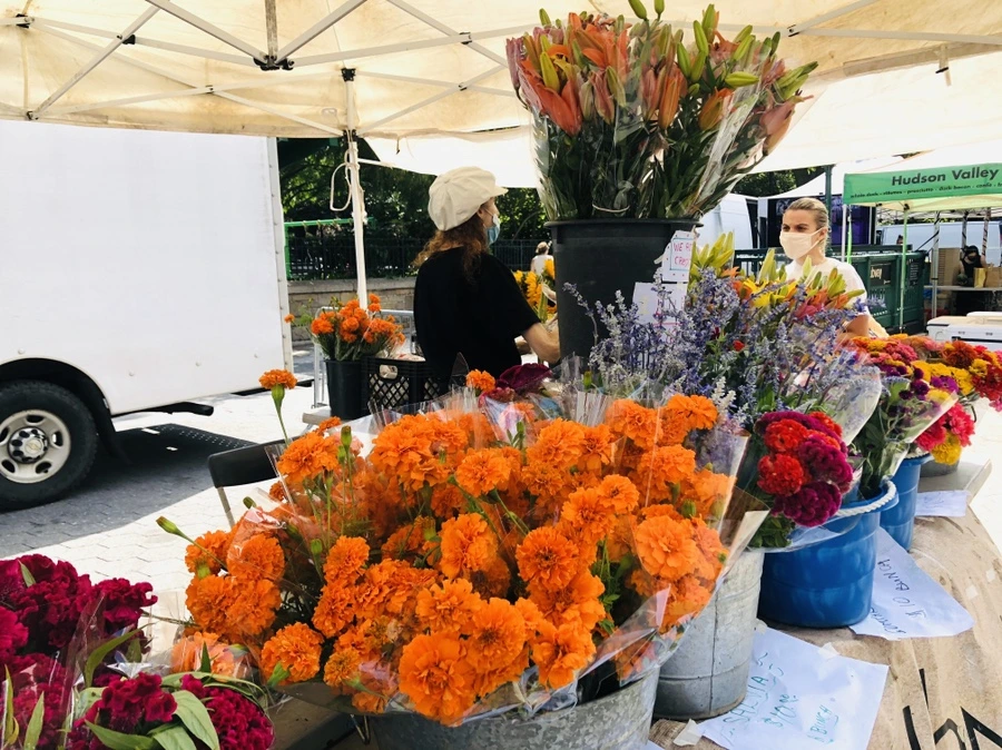 IMG_9143.jpg?type=w966