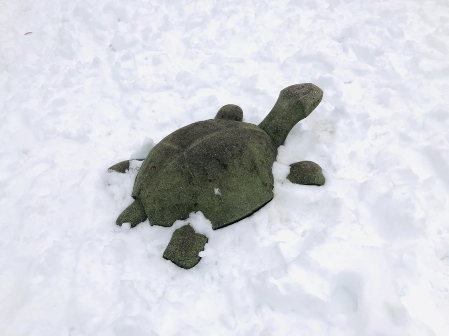 IMG_7567.jpg?type=w966