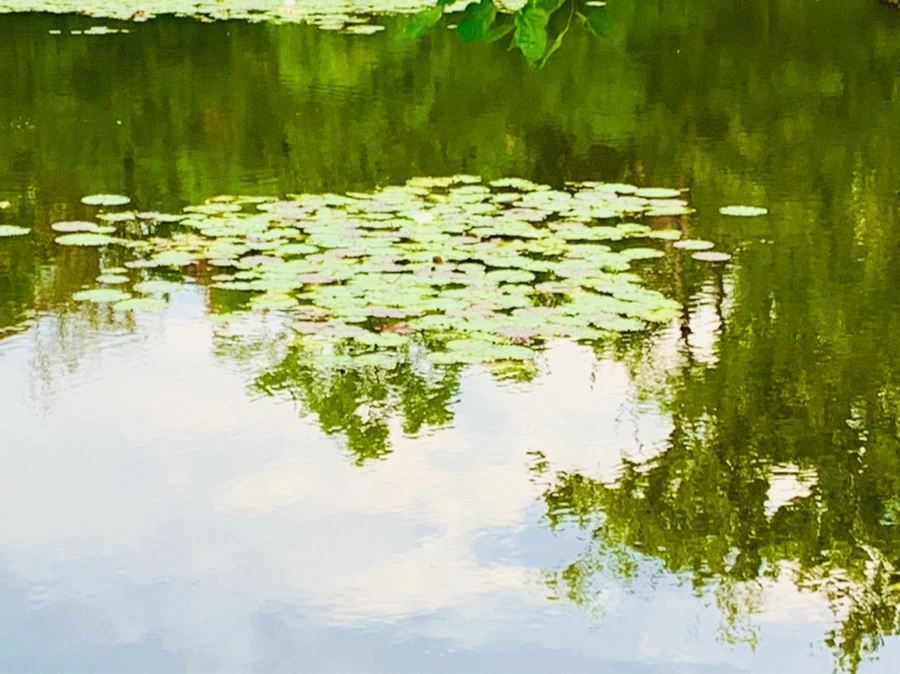 IMG_5819.jpg?type=w966