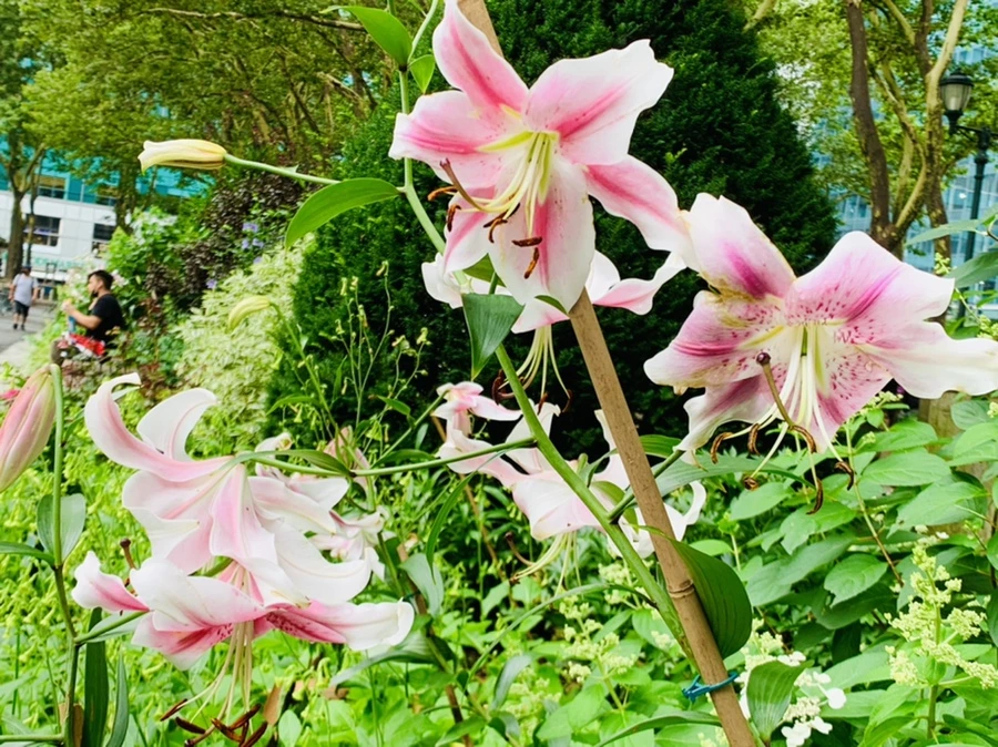 IMG_4982.jpg?type=w966