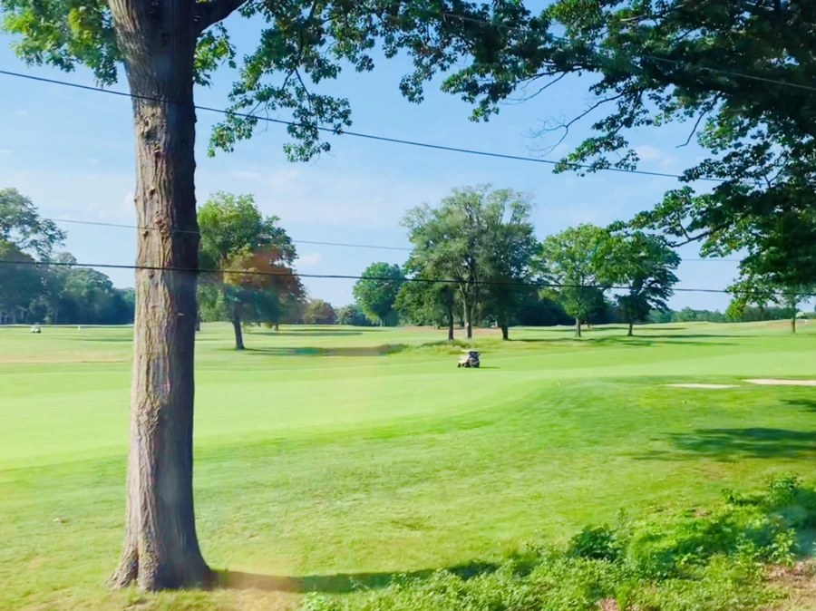 IMG_1259.jpg?type=w966