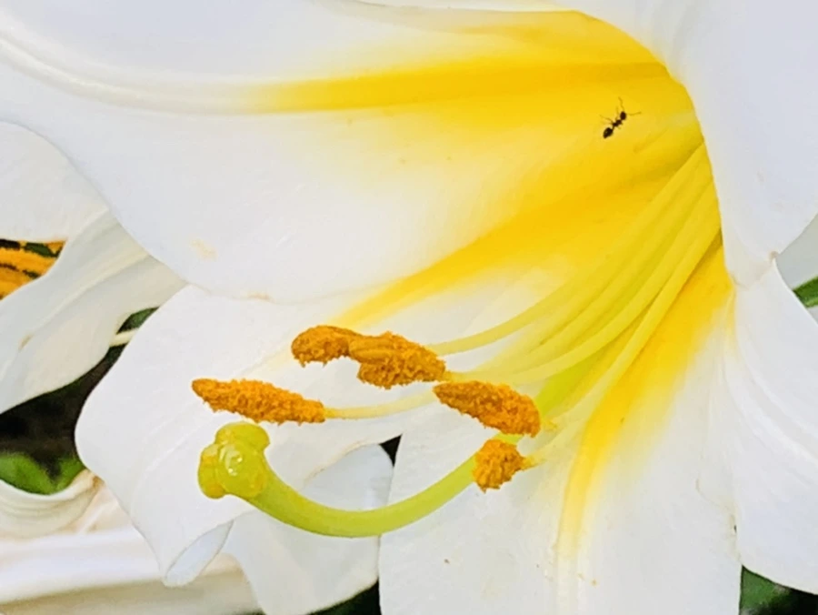 IMG_5661.jpg?type=w966